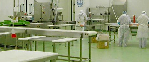 realizzazione-impianti-frigor